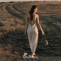 Liposuction in Mexico: An Affordable Option for Canadian Body Sculpting